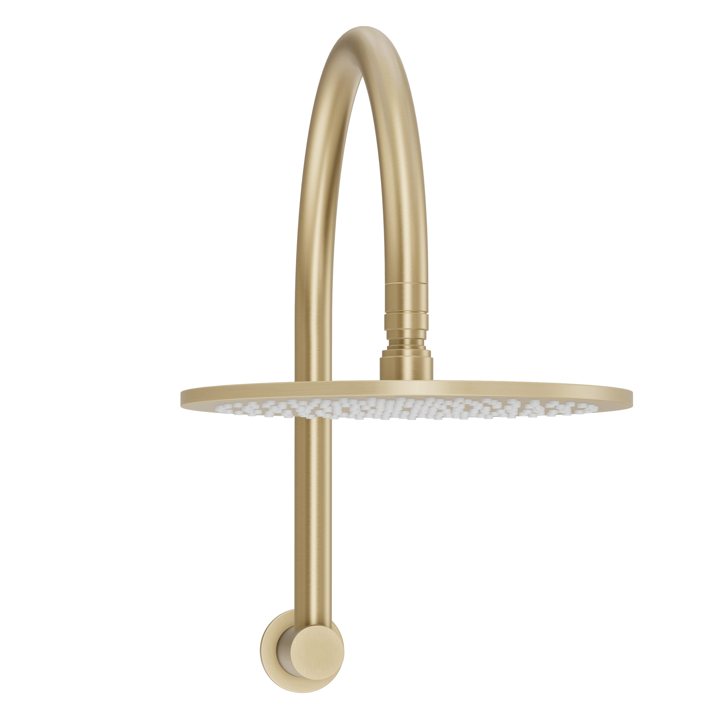 Gooseneck Shower Arm & Head - Brushed Brass