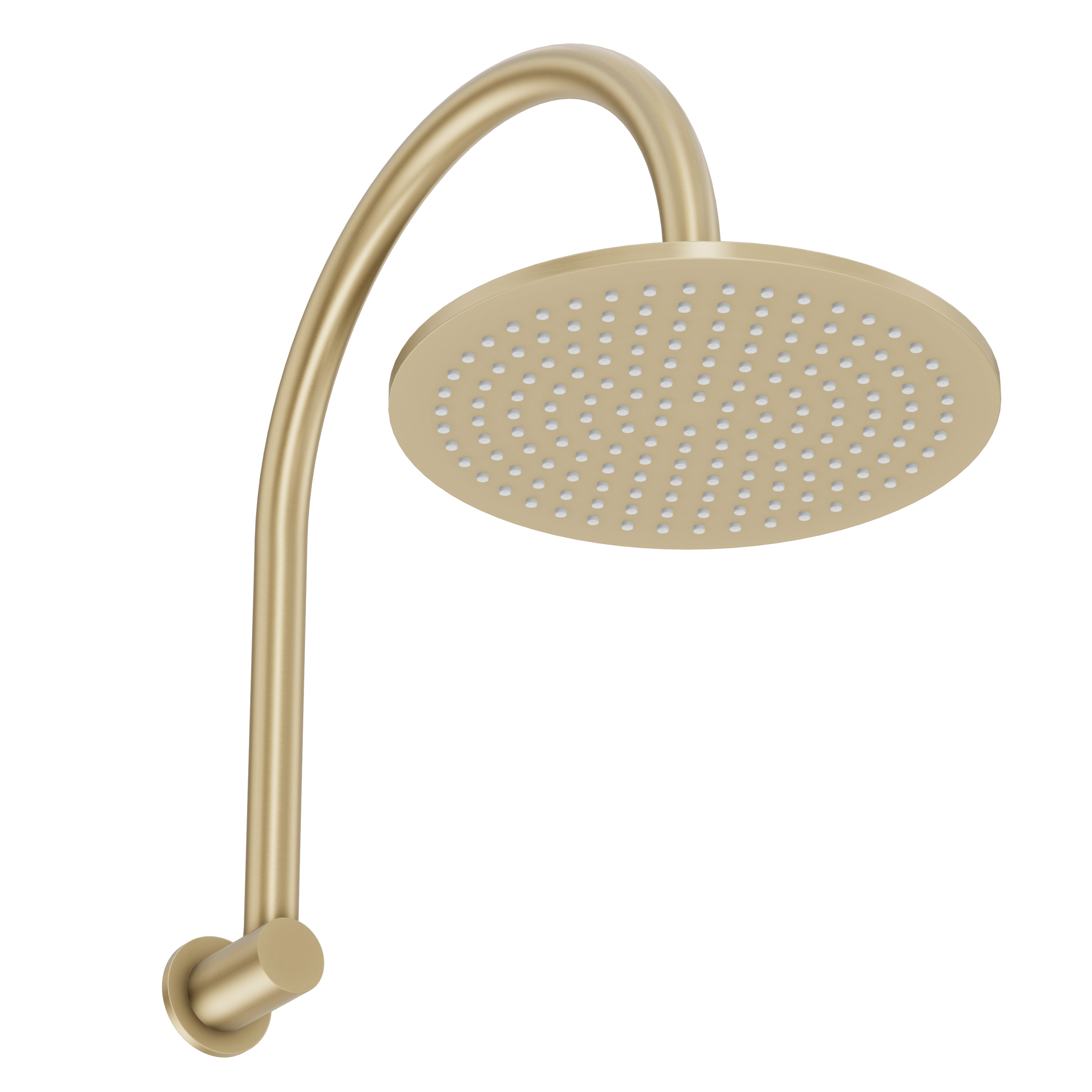 Gooseneck Shower Arm & Head - Brushed Brass