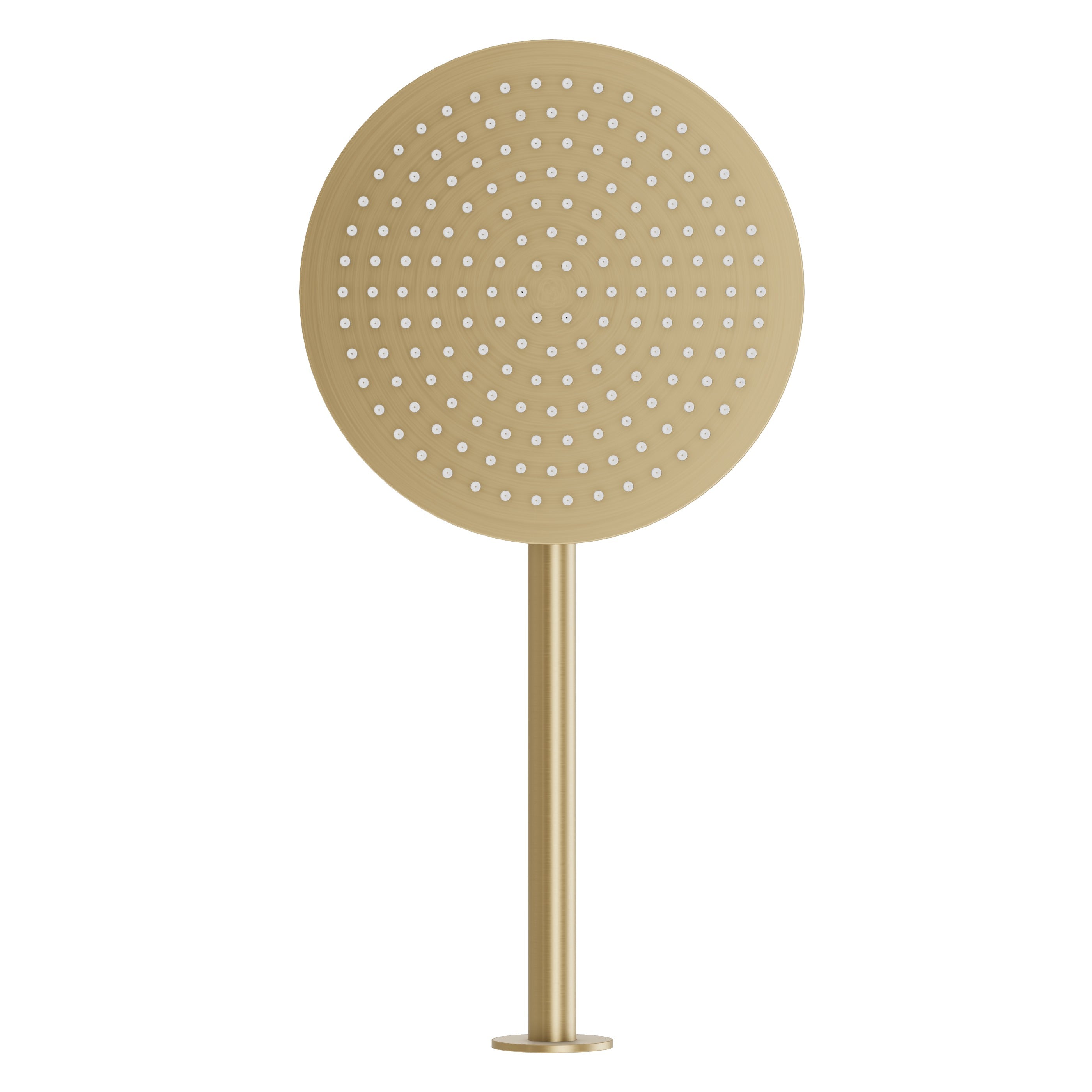 Wall Shower Head & Arm - Brushed Brass