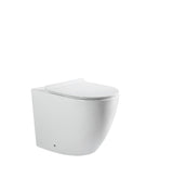 Floor Mounted Rimless Toilet