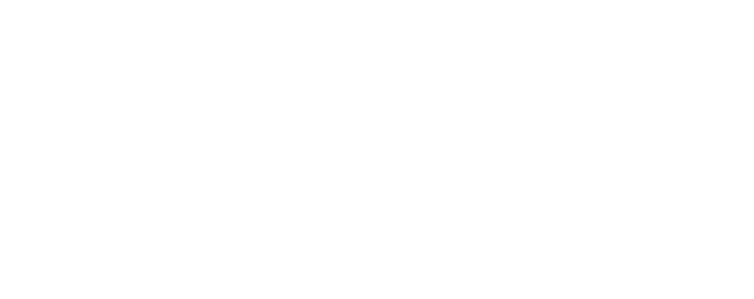 RainCo
