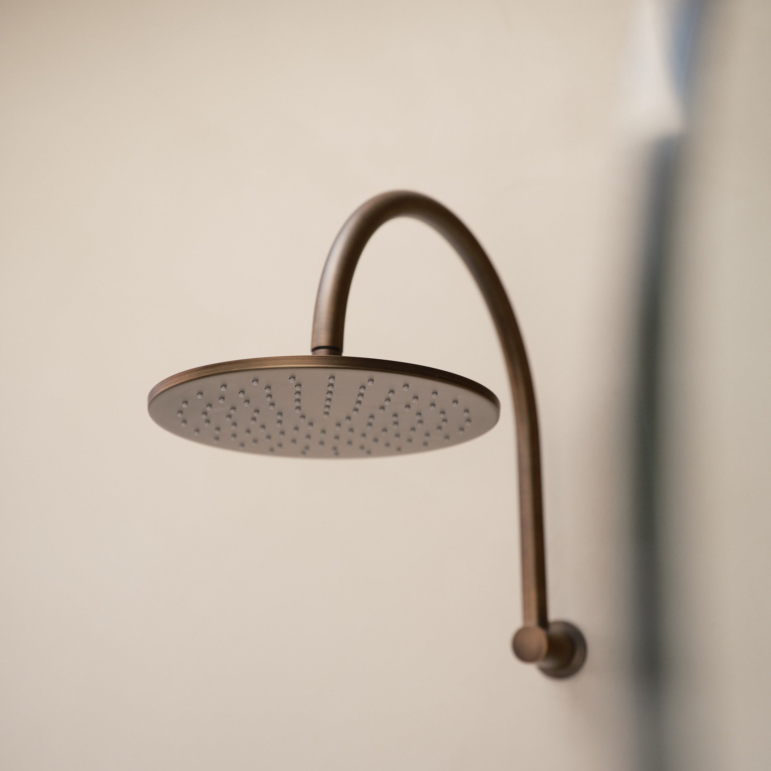 Gooseneck Shower Arm & Head - Antique Brass