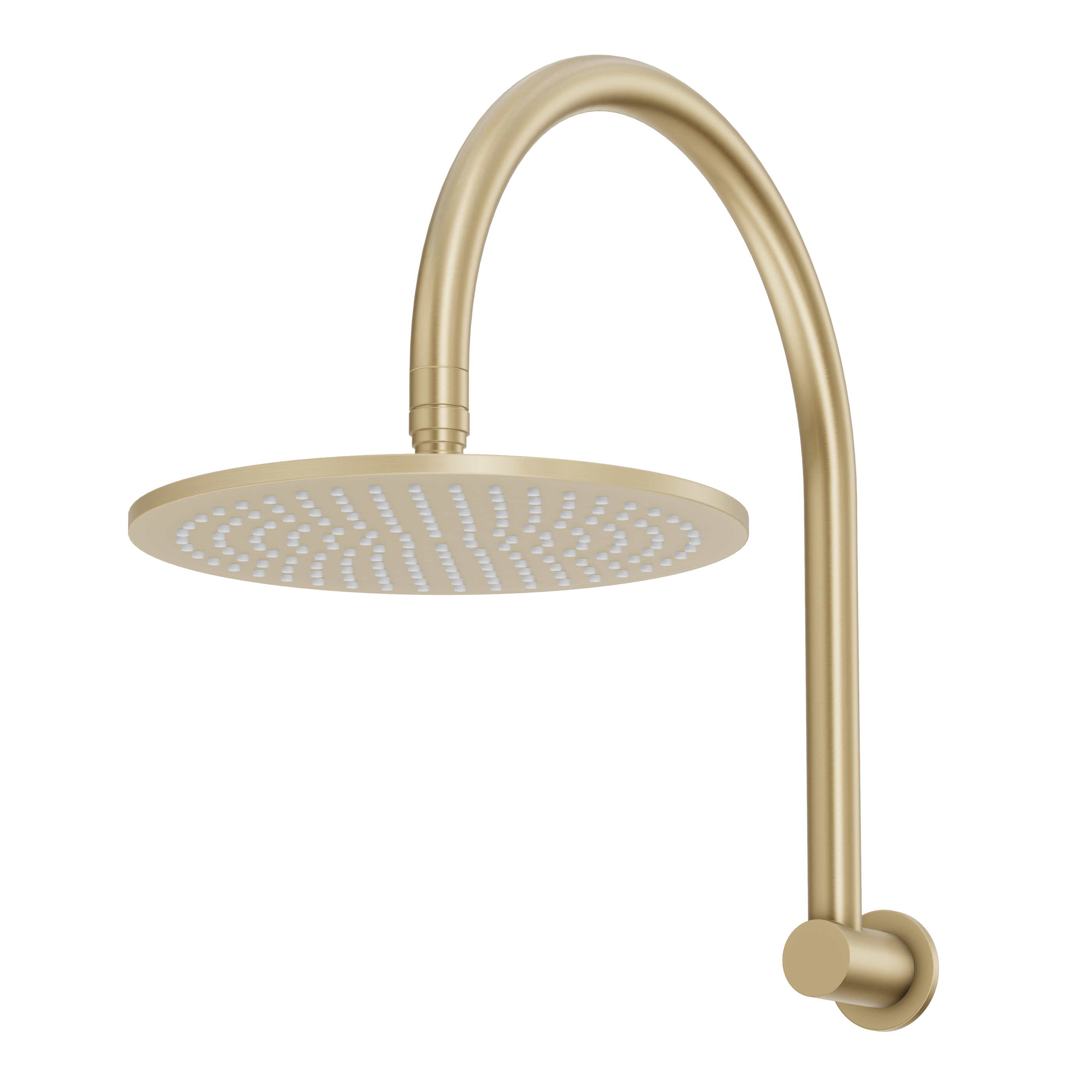 Gooseneck Shower Arm & Head - Brushed Brass