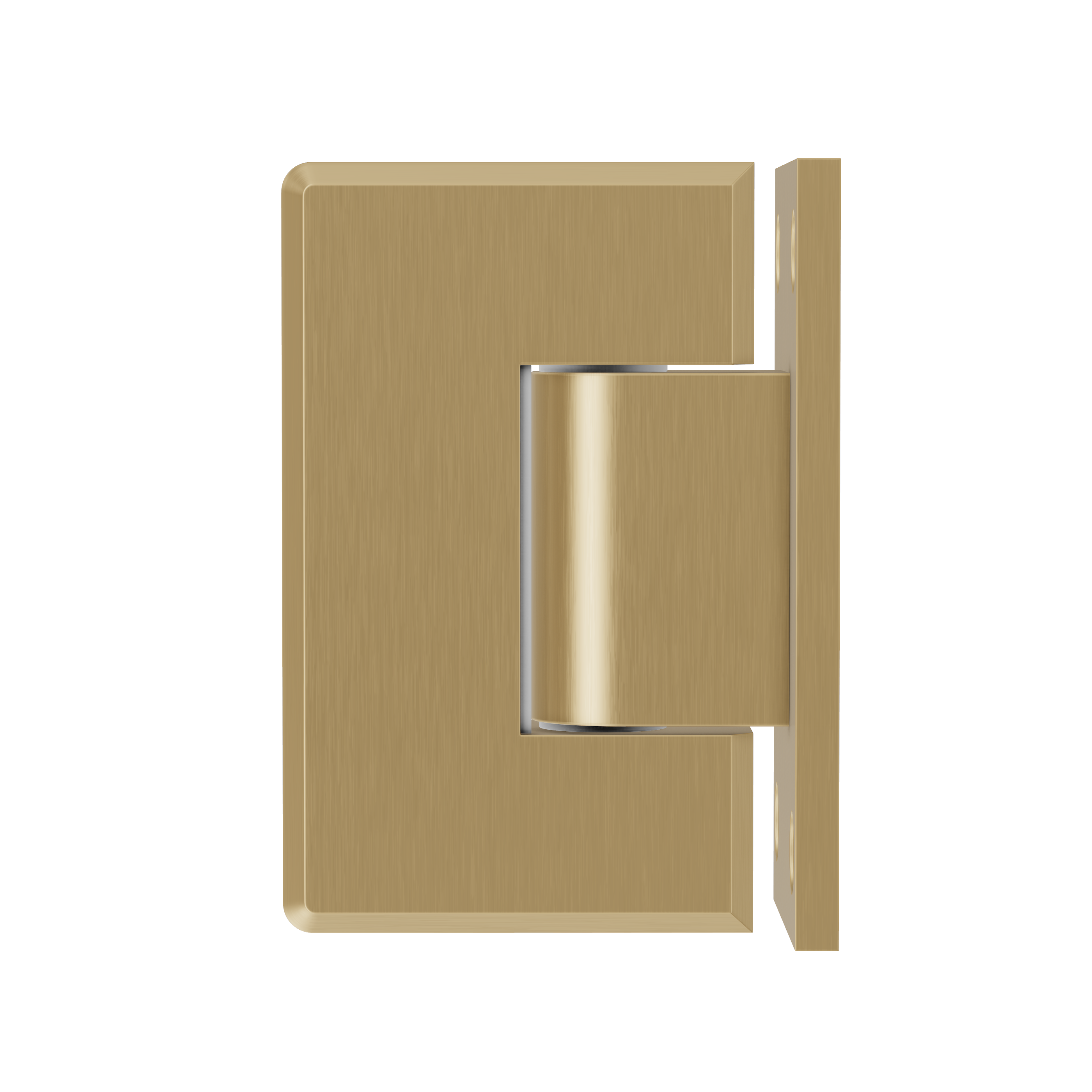 Glass to Wall Shower Hinge - Brushed Brass